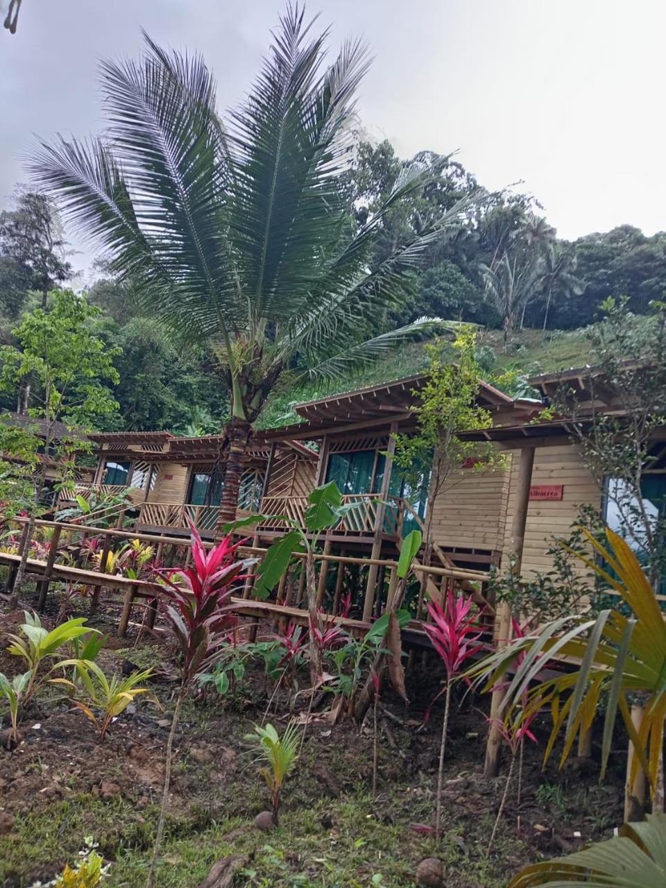 Pacific Nuqui Lodge Exterior photo